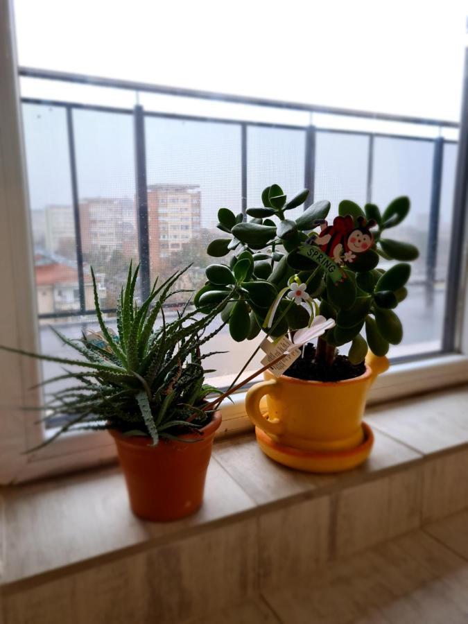 Cozy Apartment Арад Екстер'єр фото